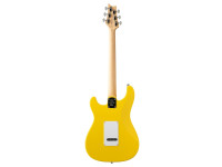 PRS SE Silver Sky Dandy Lion PRS SE Silver Sky Dandy Lion